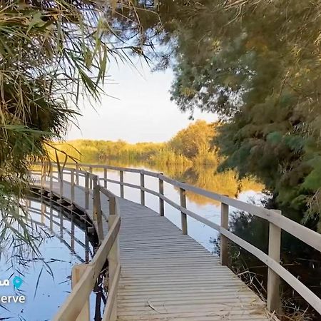 Azraq Lodge Al Azraq ash Shamālī Zewnętrze zdjęcie