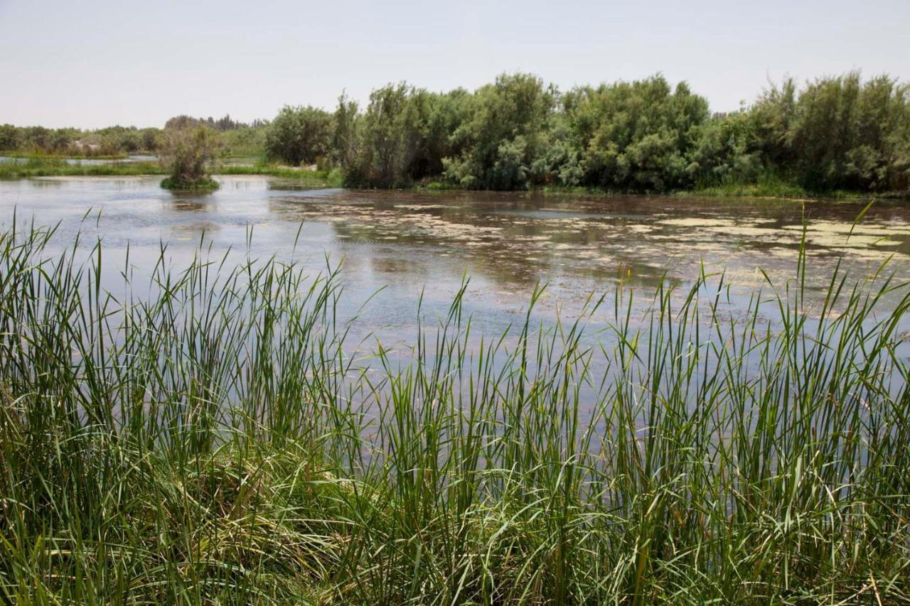 Azraq Lodge Al Azraq ash Shamālī Zewnętrze zdjęcie