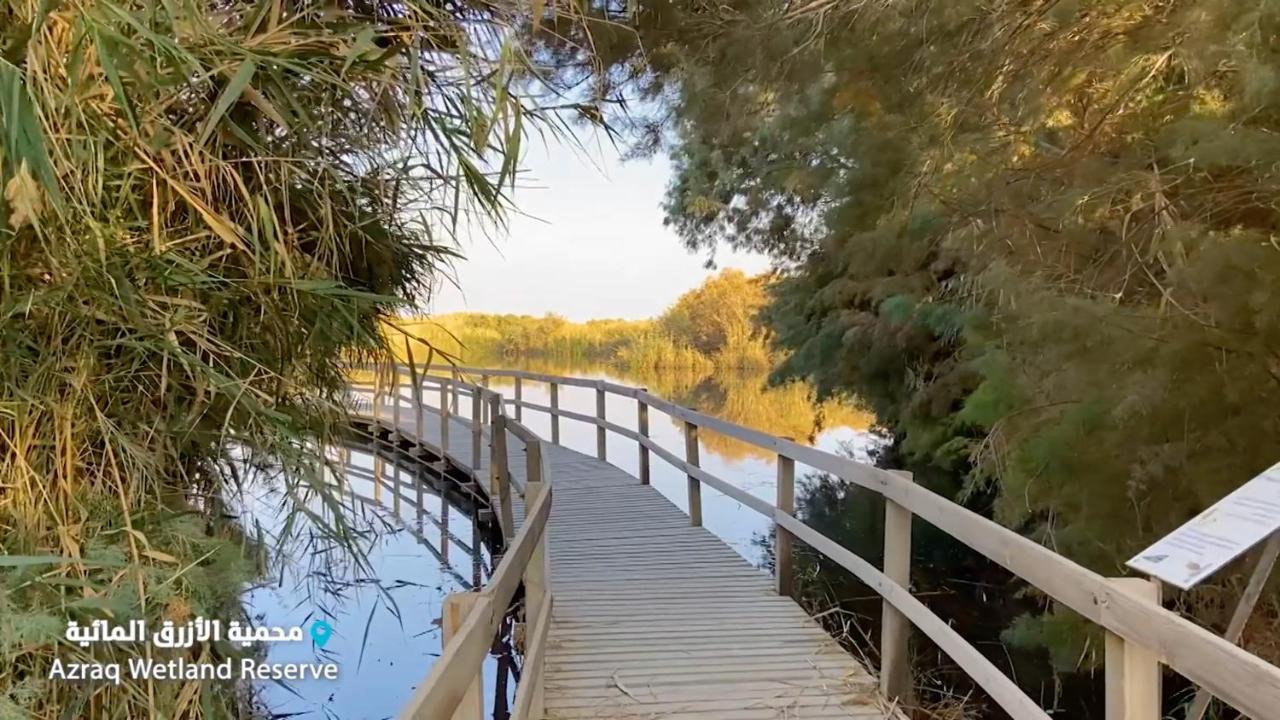 Azraq Lodge Al Azraq ash Shamālī Zewnętrze zdjęcie