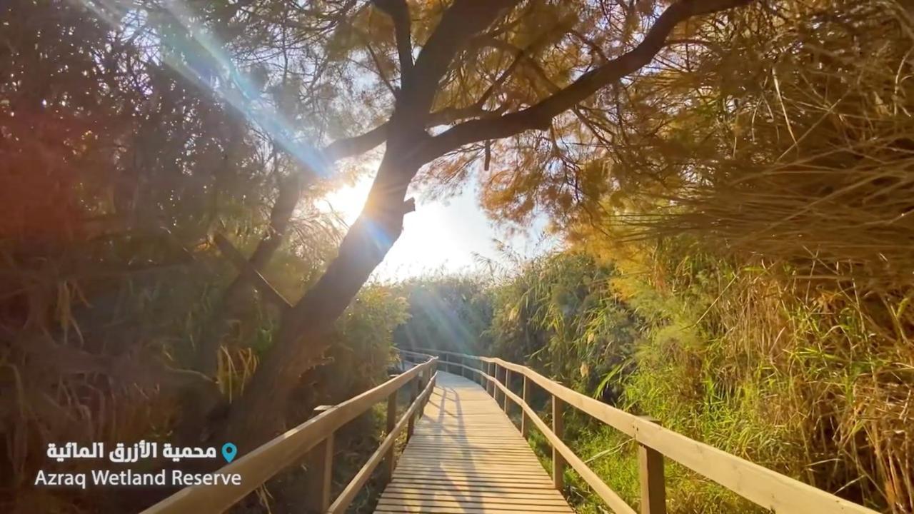 Azraq Lodge Al Azraq ash Shamālī Zewnętrze zdjęcie