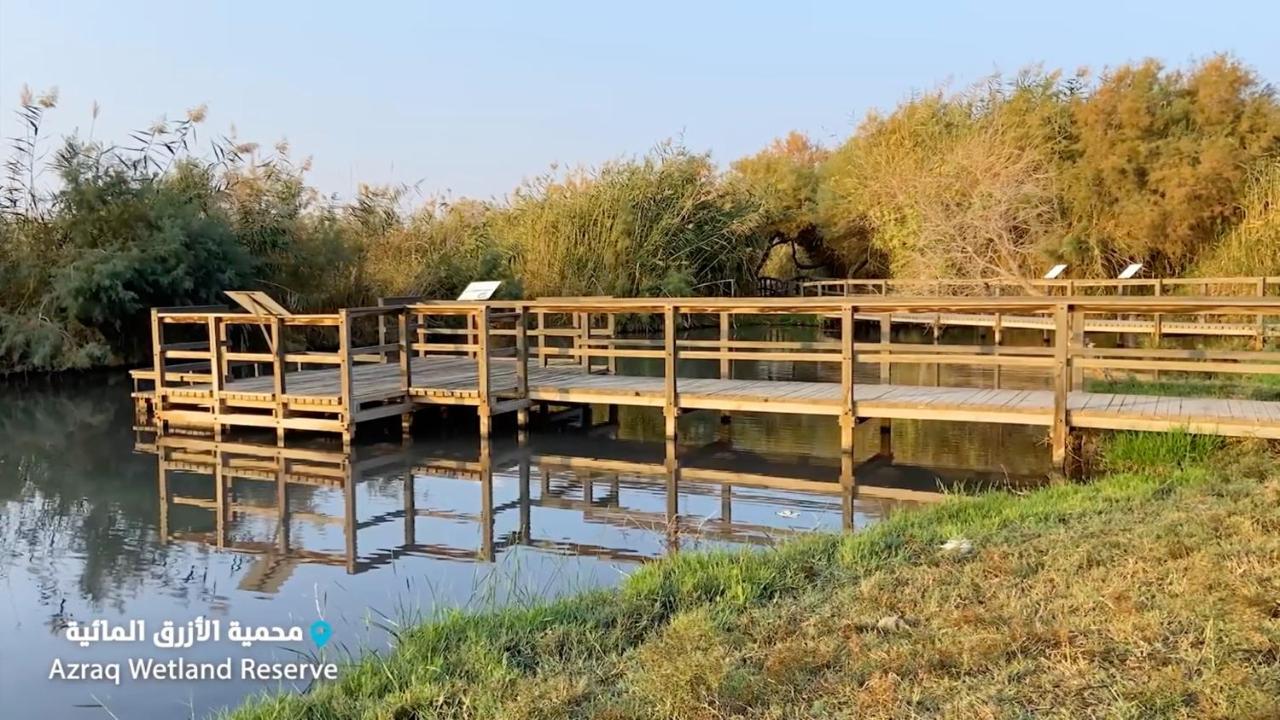 Azraq Lodge Al Azraq ash Shamālī Zewnętrze zdjęcie