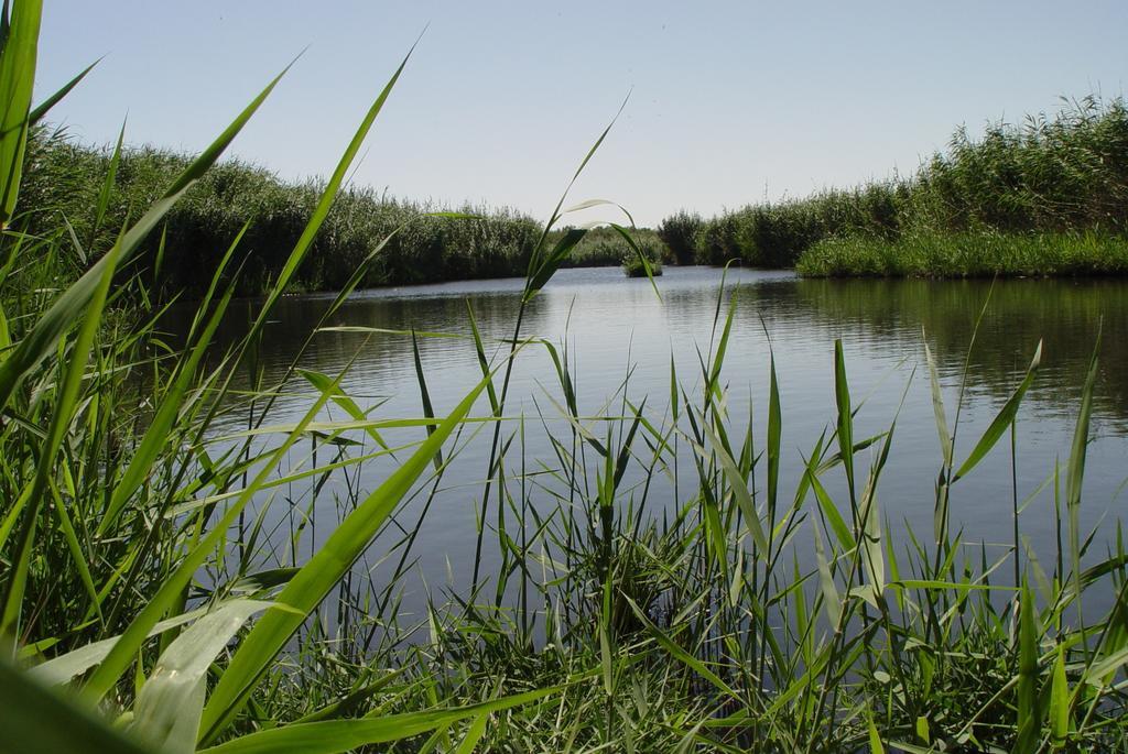 Azraq Lodge Al Azraq ash Shamālī Zewnętrze zdjęcie