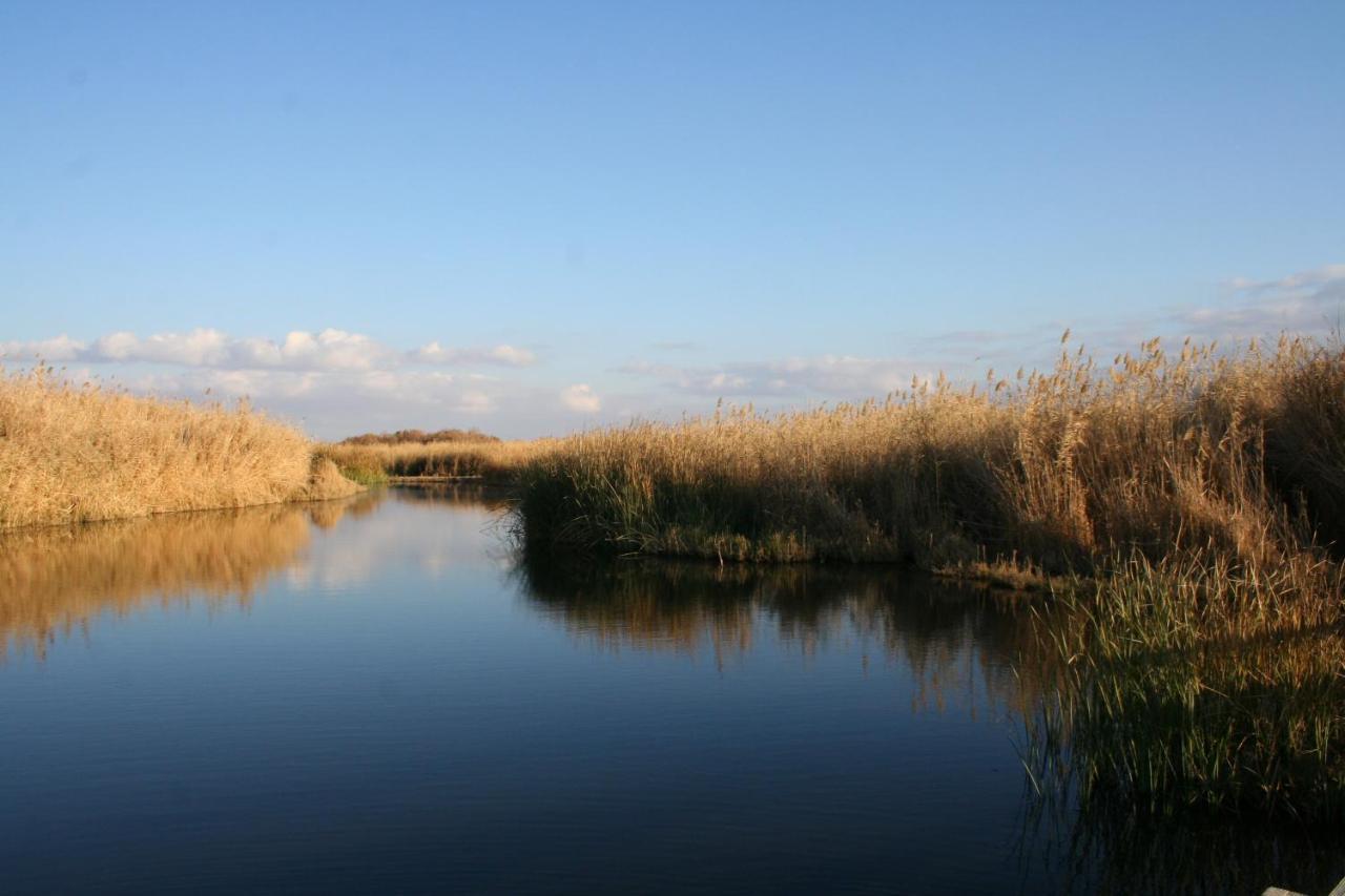 Azraq Lodge Al Azraq ash Shamālī Zewnętrze zdjęcie